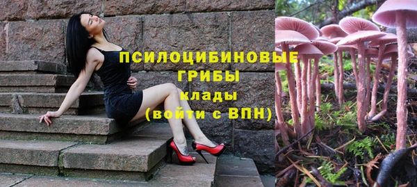 трава Баксан