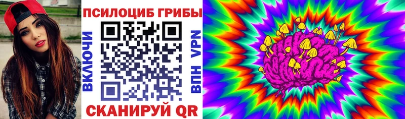 Галлюциногенные грибы мухоморы  закладка  Бирюсинск 