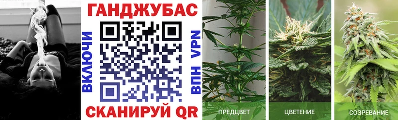 Бошки Шишки сатива  как найти закладки  Бирюсинск 